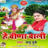 He Veena Wali (Anu Dubey)