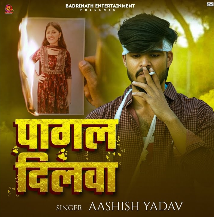 Pagal Dilwa (Aashish Yadav)