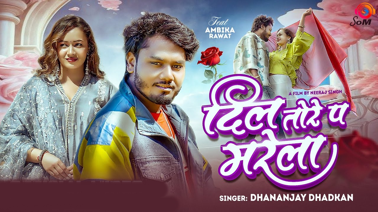 Dil Tore Pa Marela (Dhananjay Dhadkan)