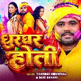 Ae Sali Range Da Na Choliya Ke Andar Ho Dhurandhar Khani