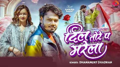 Dil Tore Pa Marela Ho