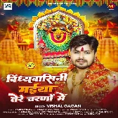 Vindhyavasini Maiya Tere Charno Me