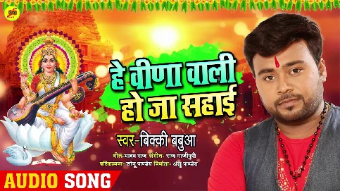 He Vina Wali Arji Suni Maai Song