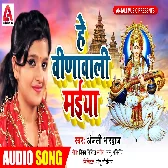 Hey Veenawali Maiya Teri Jaykaar karu Song